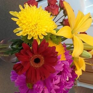 Meet your Posher, Donna